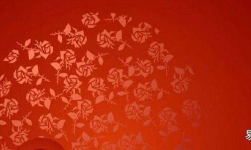 狗狗身上被蜱虫咬了后要怎样处理-狗狗身上蜱虫咬过的伤疤怎么办网 - 网站提供狗狗身上的蜱虫咬人怎么办小常识、狗狗身上蜱虫咬过的伤疤怎么办图片